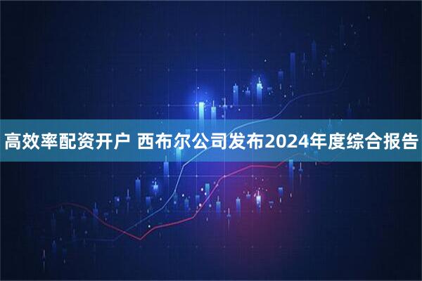 高效率配资开户 西布尔公司发布2024年度综合报告