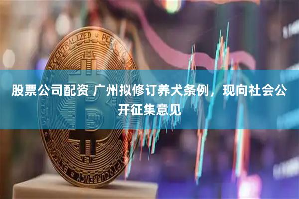 股票公司配资 广州拟修订养犬条例，现向社会公开征集意见